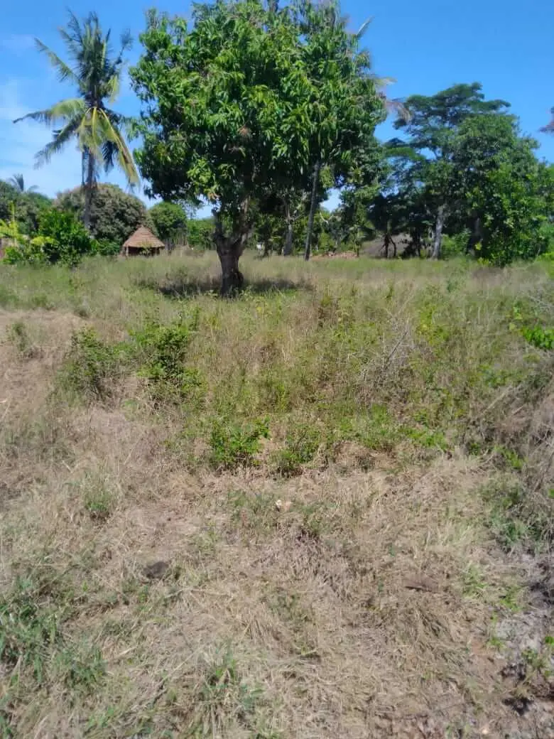 Land in Kilifi-Kwa Kimanje